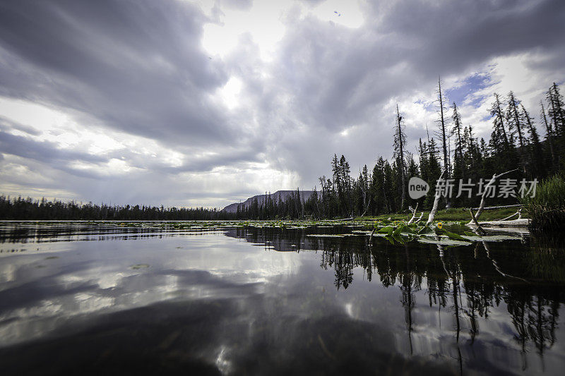 有Lilly Pads的High Uintas Lake